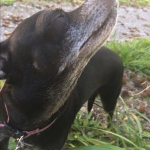 Meet your Posher, Armani